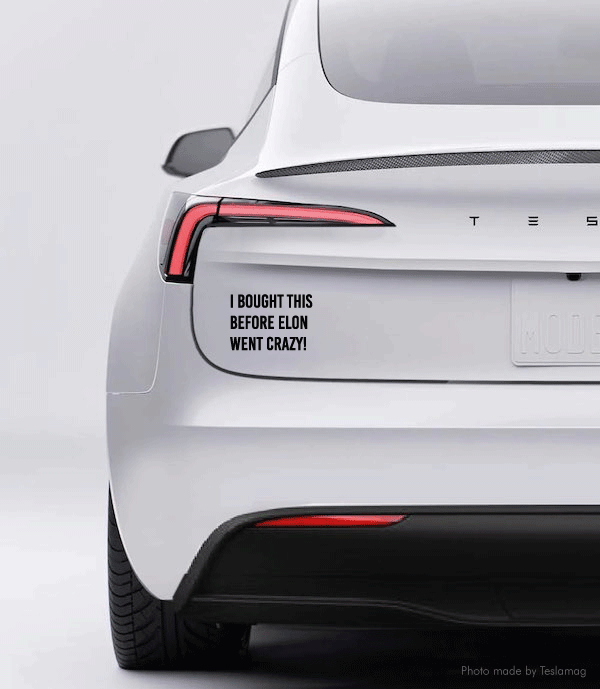 Auto - Aufkleber "Elon went crazy"