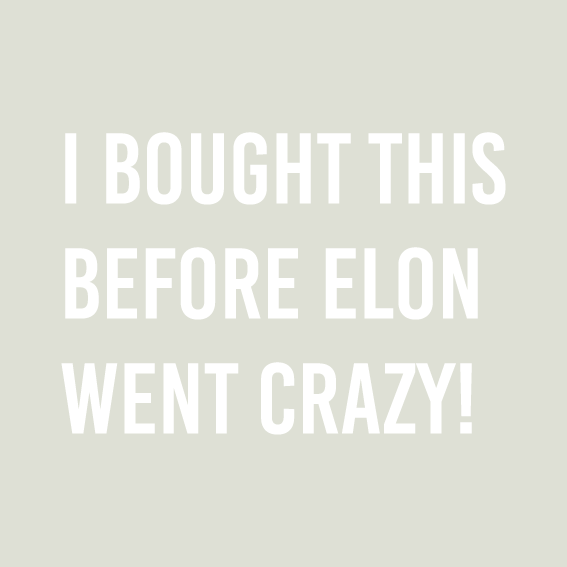 Auto - Aufkleber "Elon went crazy"